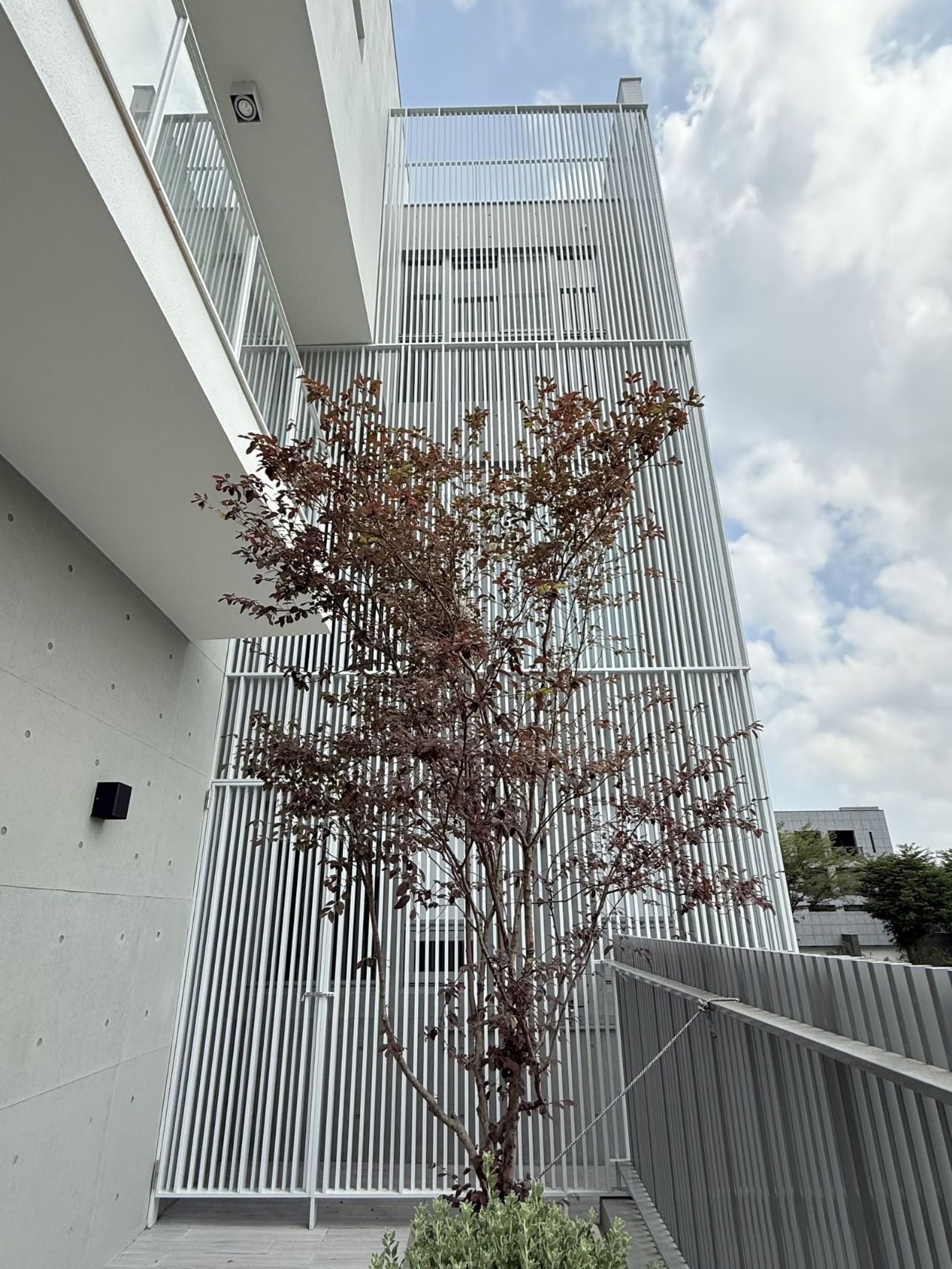 相片名稱